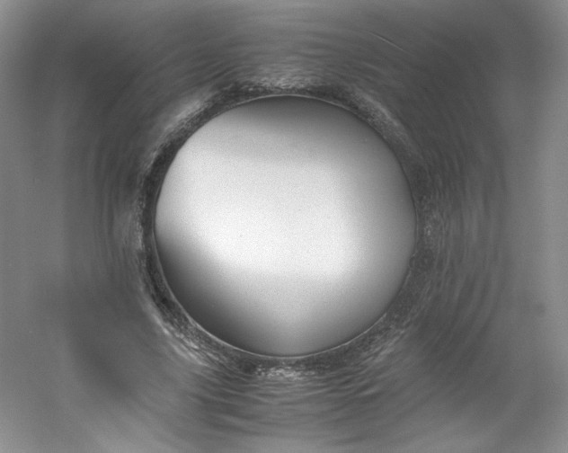 X0000053090635200507251605