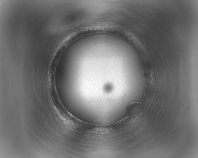 X0000053090636200507251605