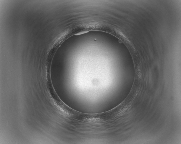 X0000053090637200507251605