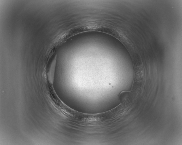 X0000053090639200507251605