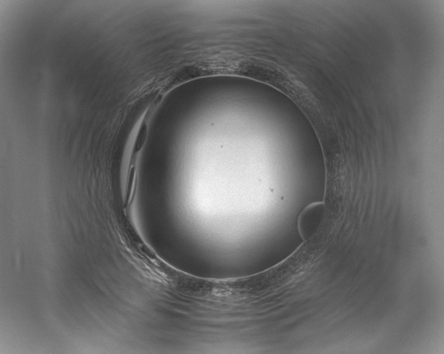 X0000053090641200507251606