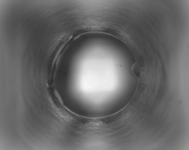 X0000053090642200507251606