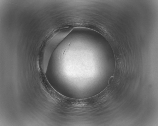 X0000053090643200507251606