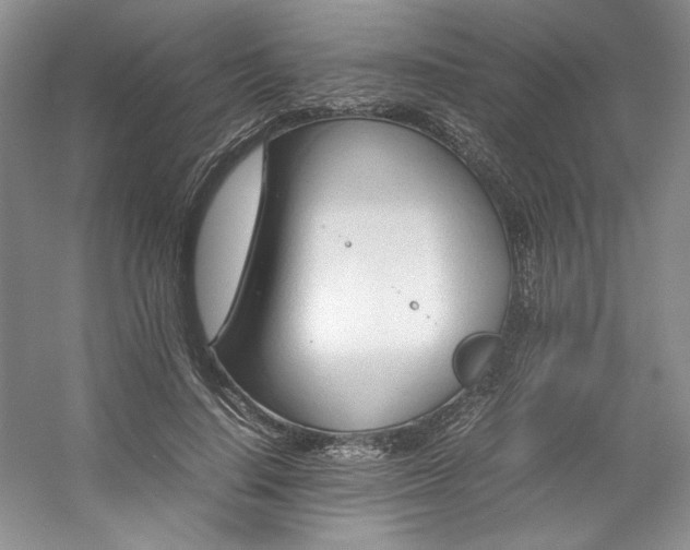 X0000053090644200507251606