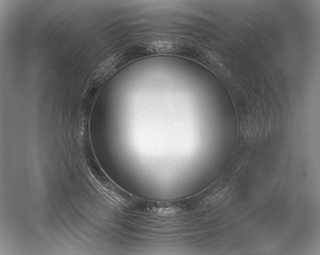 X0000053090645200507251606