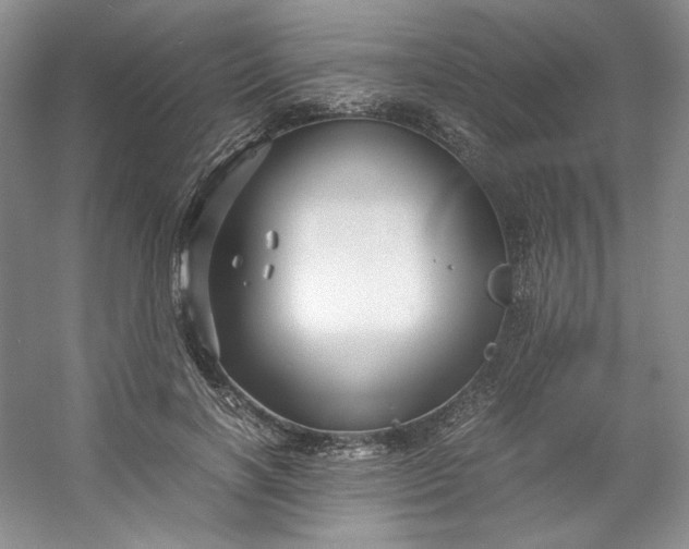 X0000053090646200507251606