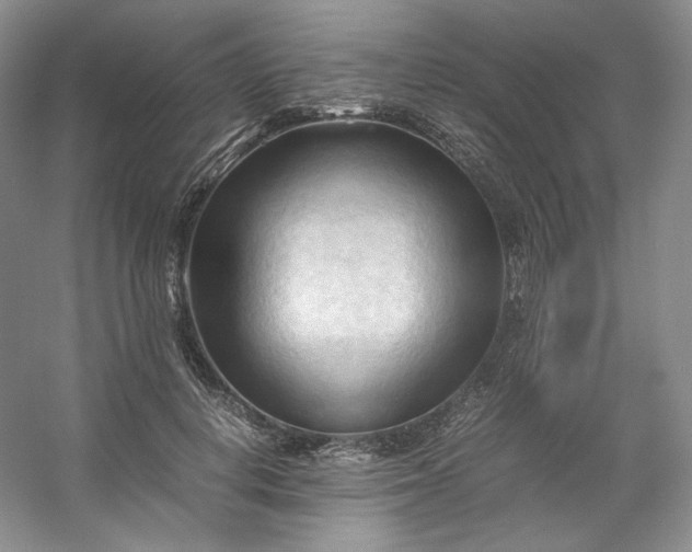 X0000053090648200507251606