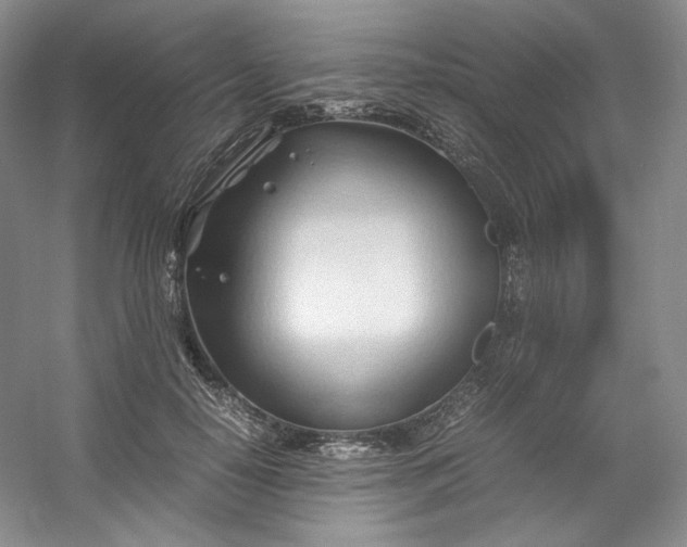 X0000053090650200507251606