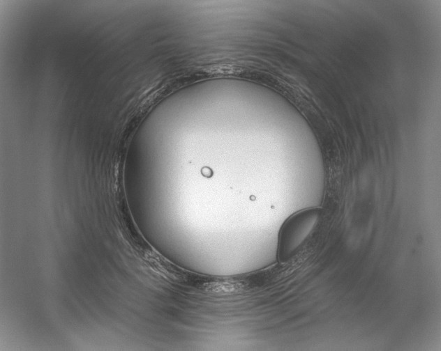 X0000053090652200507251606