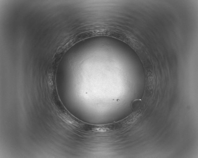 X0000053090654200507251606