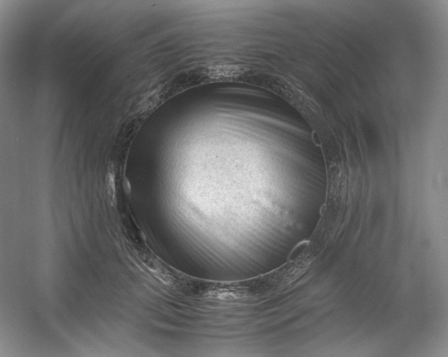 X0000053090655200507251606