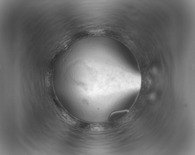 X0000053090658200507251606