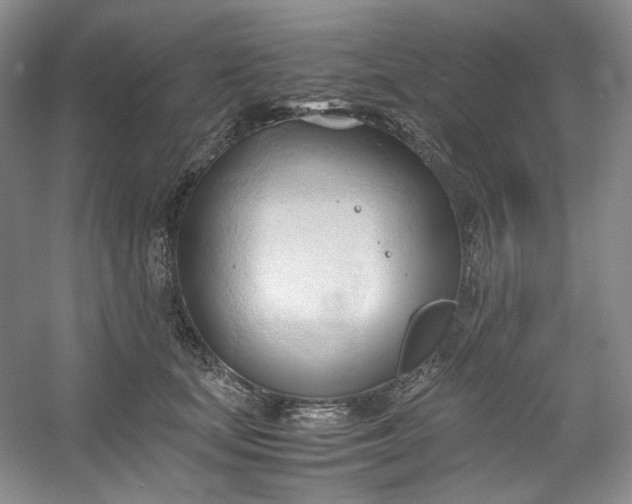 X0000053090659200507251606