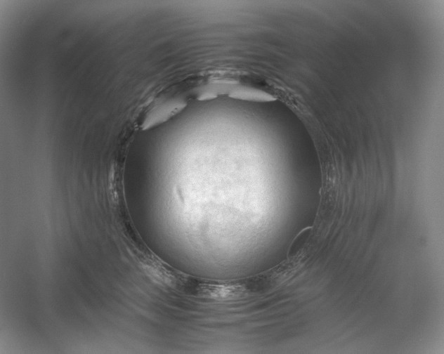 X0000053090663200507251606