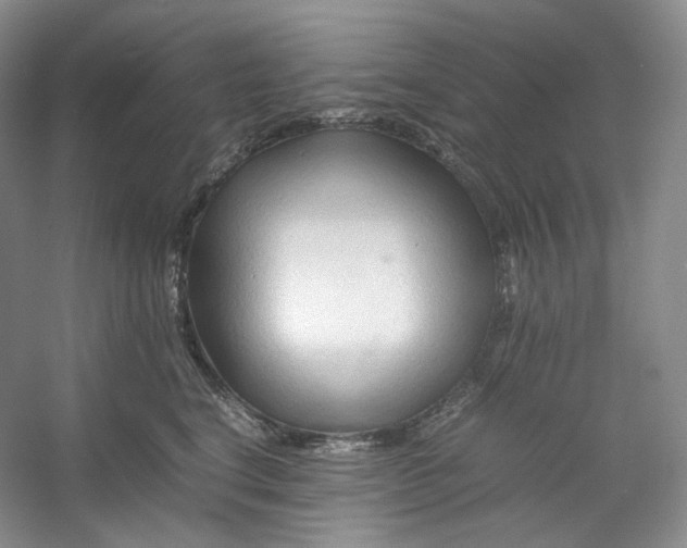 X0000053090664200507251606