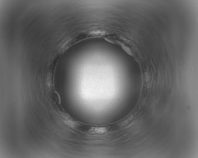 X0000053090665200507251606