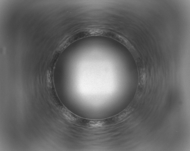 X0000053090667200507251606