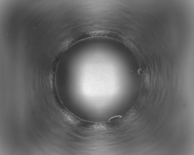 X0000053090668200507251606