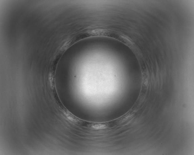 X0000053090669200507251606