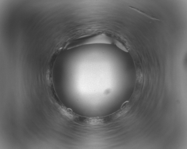 X0000053090670200507251606