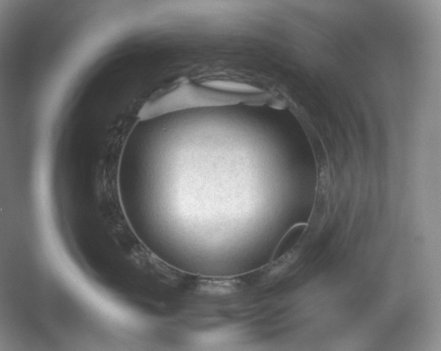 X0000053090671200507251606