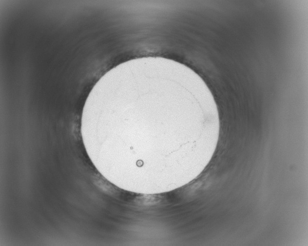 X0000053090672200507251606