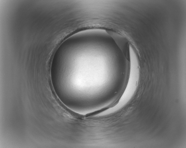 X0000053090673200507251605