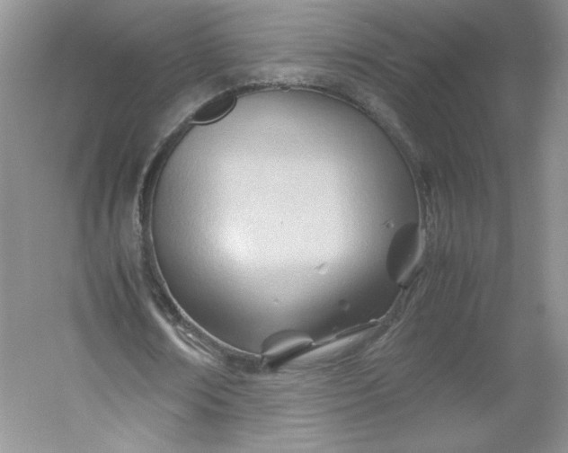 X0000053090674200507251605