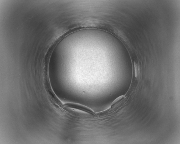 X0000053090675200507251605