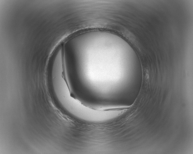 X0000053090676200507251605