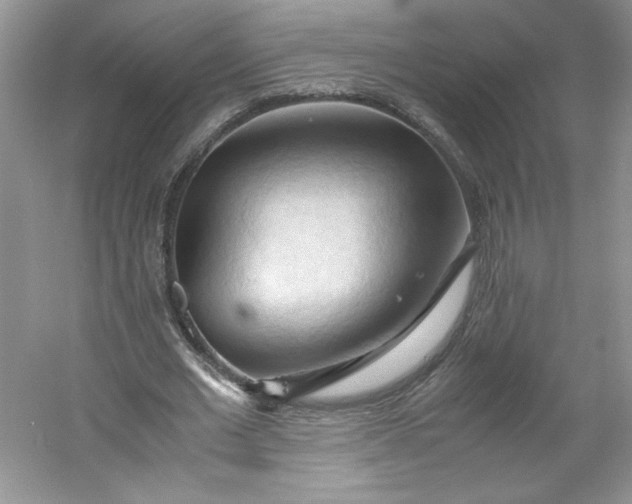 X0000053090677200507251605