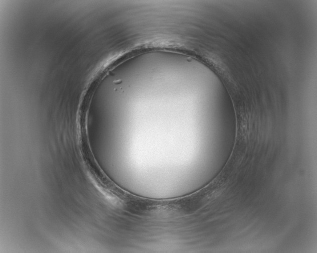 X0000053090678200507251605