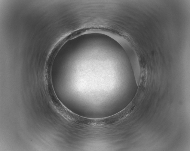 X0000053090680200507251605