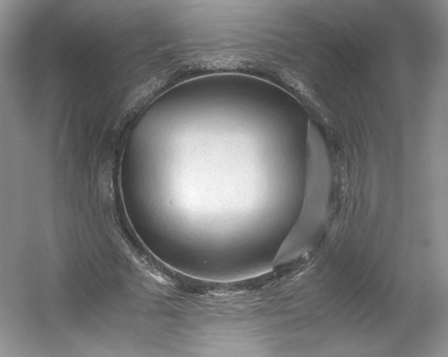 X0000053090681200507251605