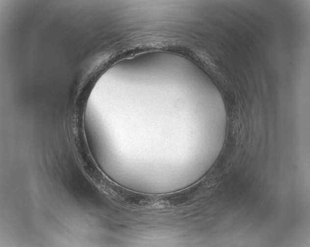 X0000053090683200507251605