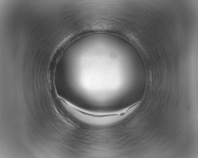 X0000053090684200507251605