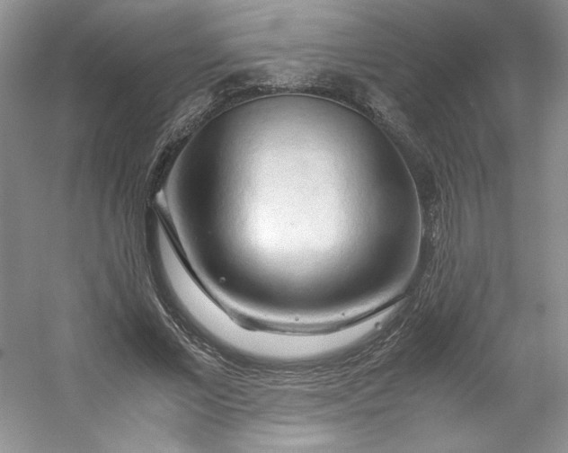 X0000053090685200507251605