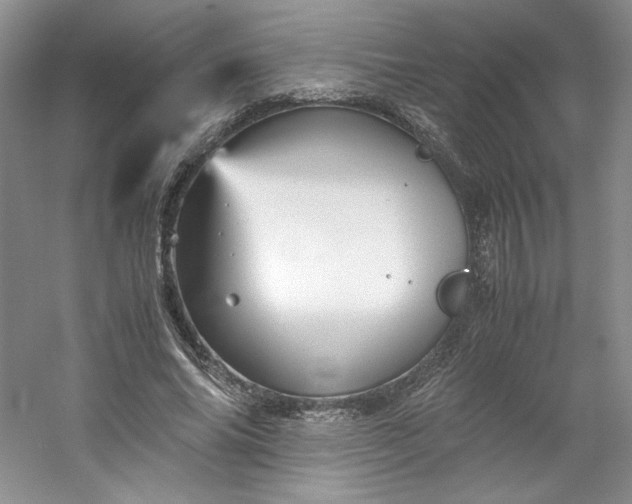 X0000053090686200507251605