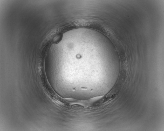 X0000053090687200507251605