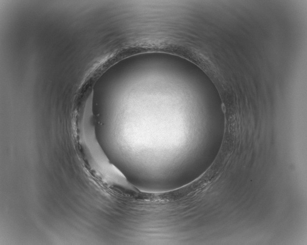 X0000053090688200507251605