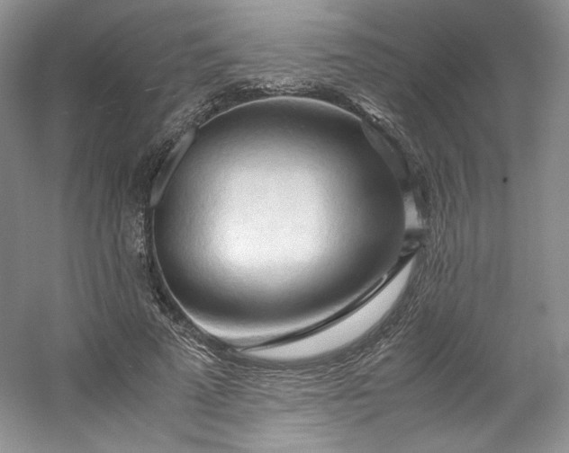 X0000053090689200507251605