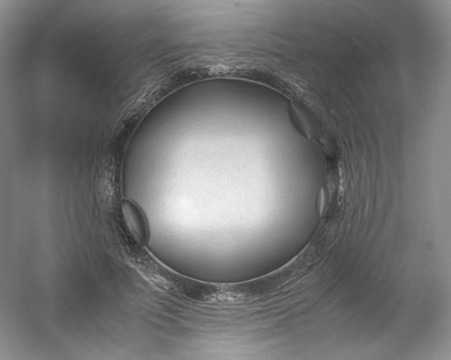 X0000053090691200507251605