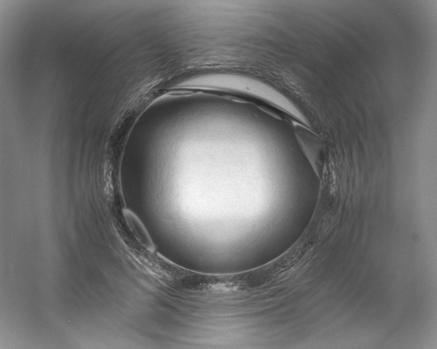 X0000053090692200507251605