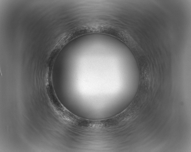 X0000053090694200507251605