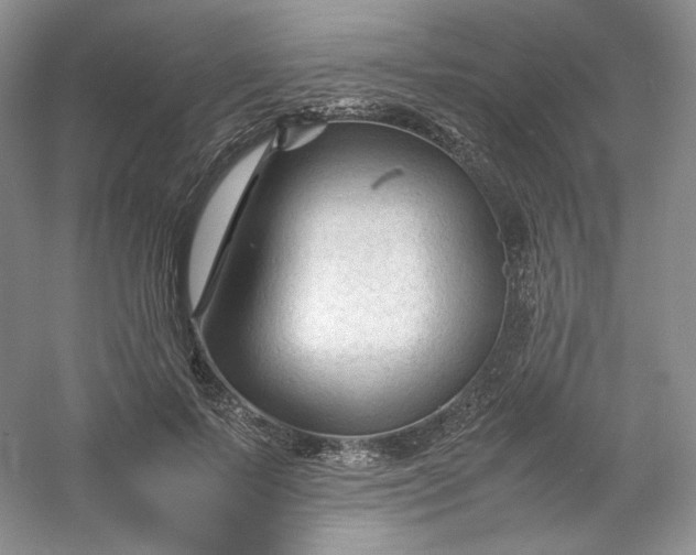 X0000053090695200507251605