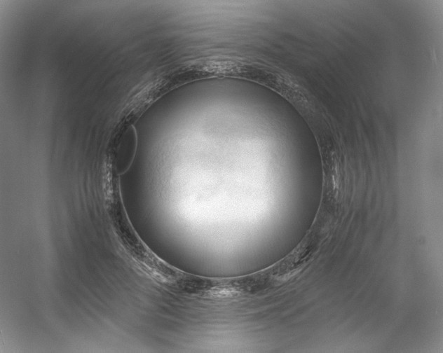 X0000053090696200507251605