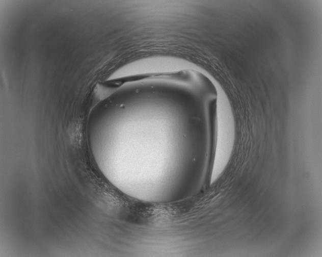 X0000053090697200507251605