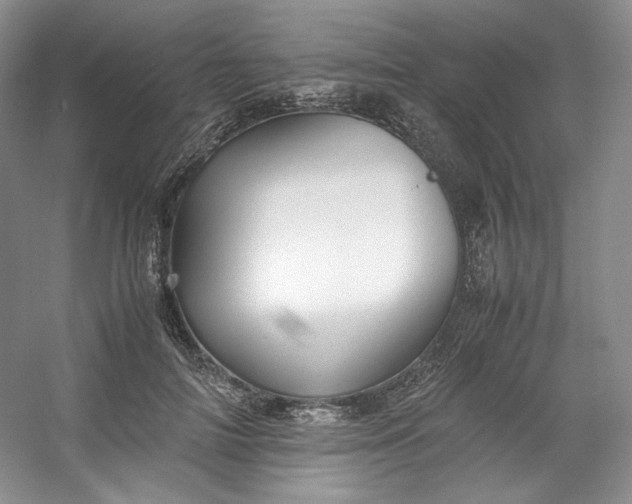 X0000053090698200507251605