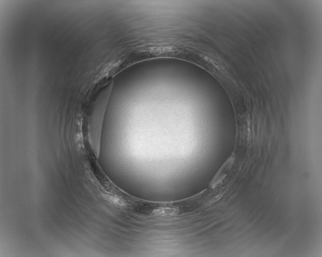 X0000053090700200507251605