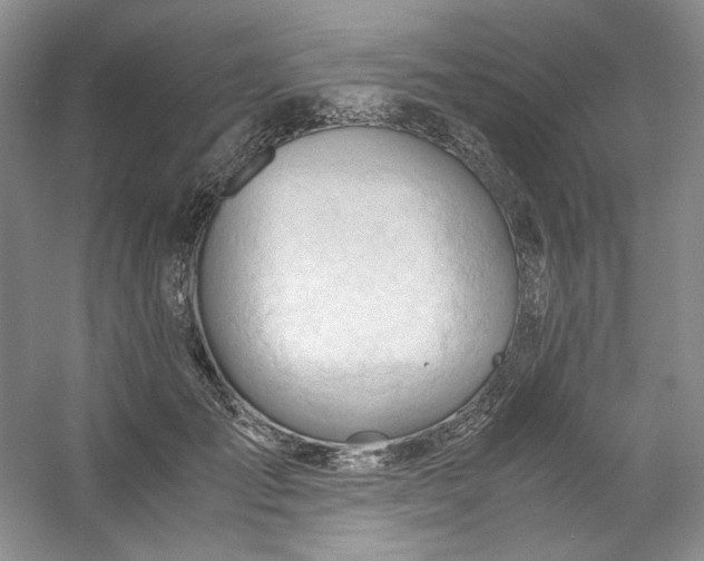 X0000053090701200507251605